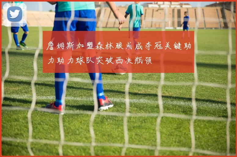 詹姆斯加盟森林狼或成夺冠关键助力助力球队突破西决瓶颈